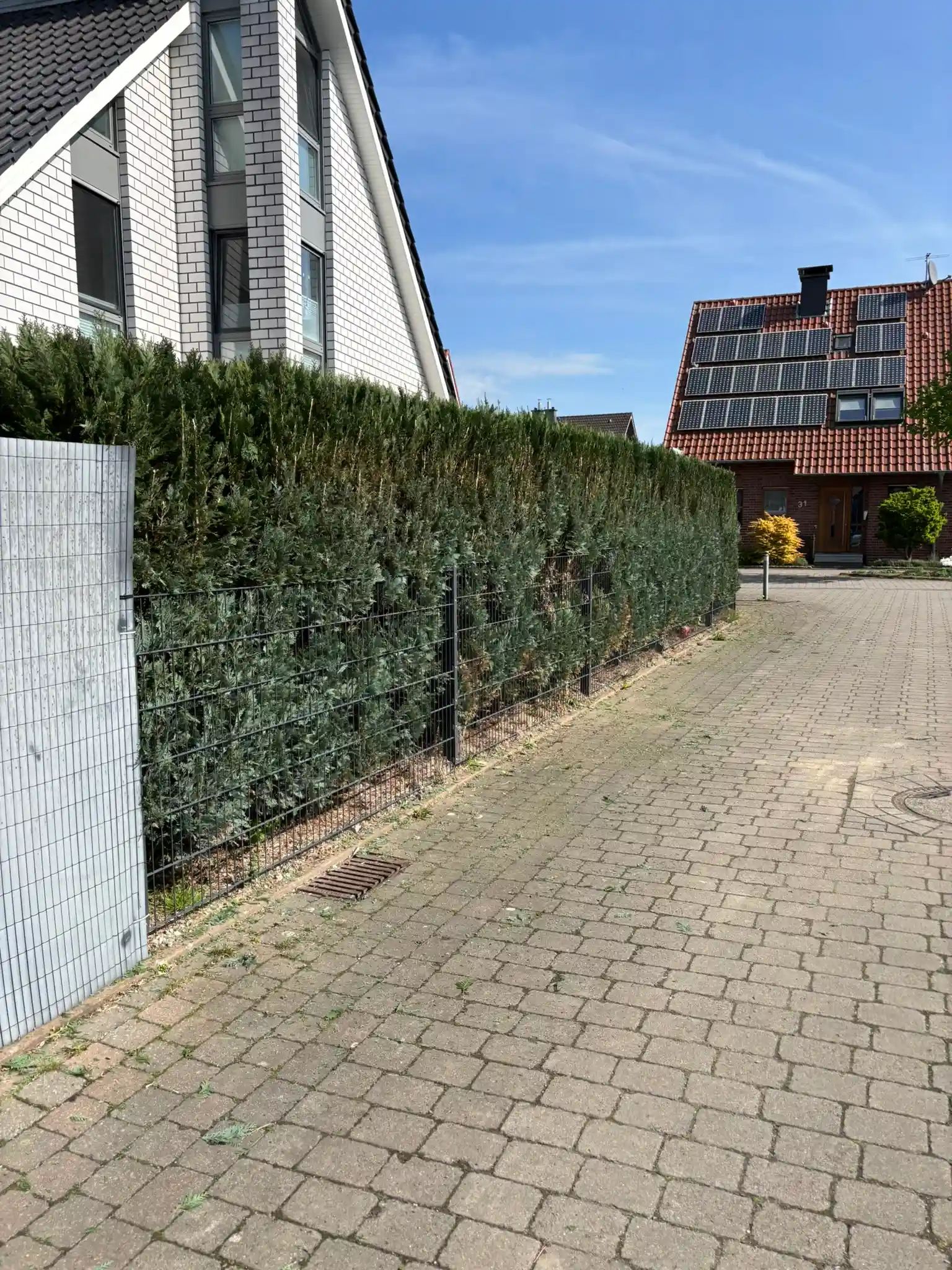Geschnittene Hecke